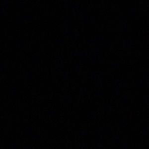 Meet your Posher, Jackson